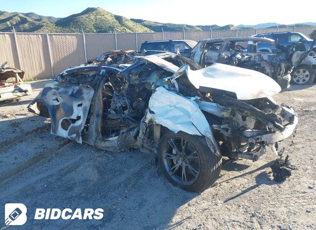 7SAYGDED9RF106563 2024 Tesla Model Y photo no. 1