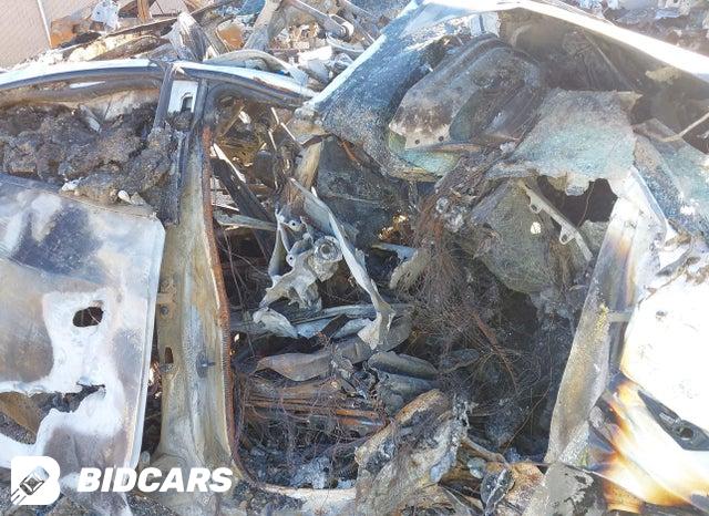 7SAYGDED9RF106563 2024 Tesla Model Y photo no. 5
