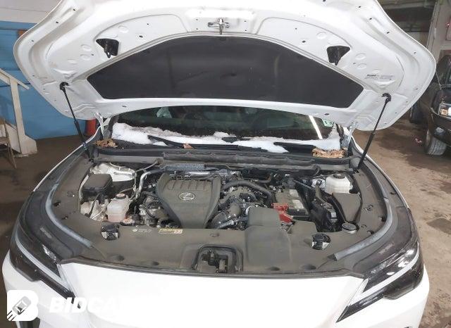 2T2BAMCA6PC022856 2023 Lexus RX photo no. 10