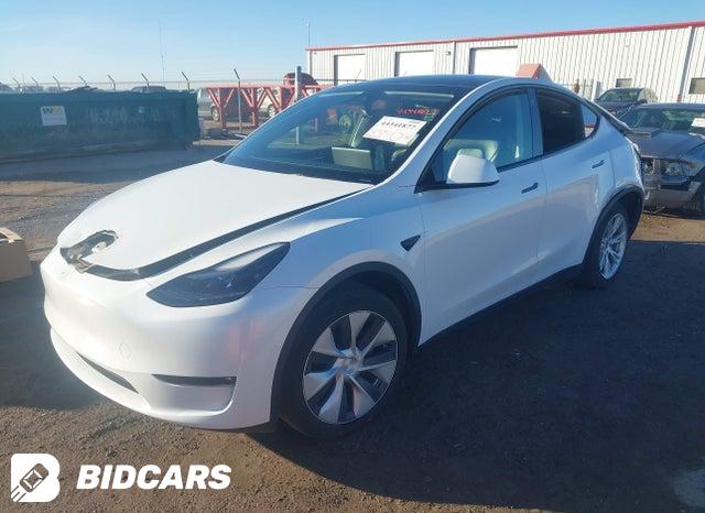 2023 Tesla MODEL Y — VIN 7SAYGDEE7PF763237, фото 2