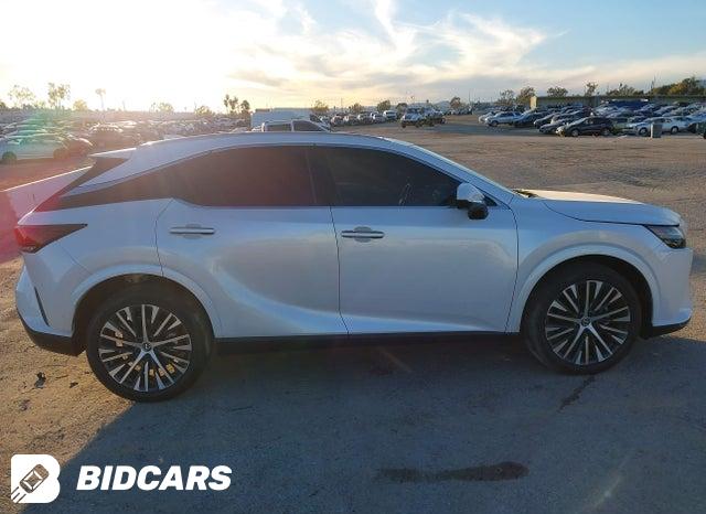 2023 Lexus RX — VIN 2T2BAMBA6PC019165, şəkil 13
