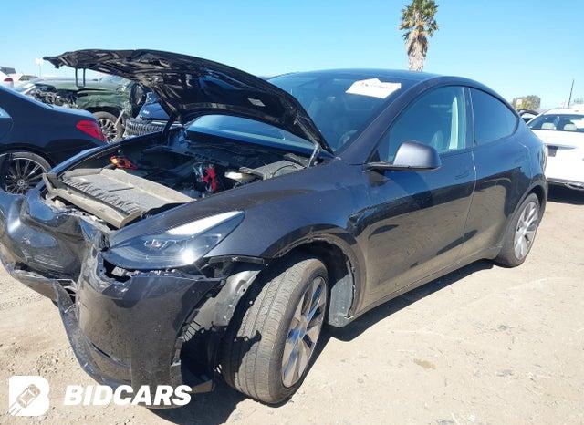 7SAYGDED8RF011248 2024 Tesla Model Y photo no. 2