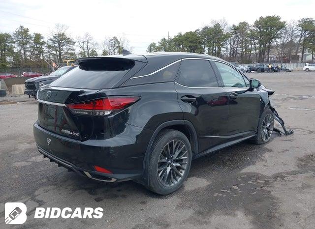 2T2YZMDA2LC242863 2020 Lexus RX photo no. 4