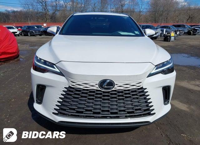 2T2BAMCA1SC106222 2025 Lexus RX photo no. 12