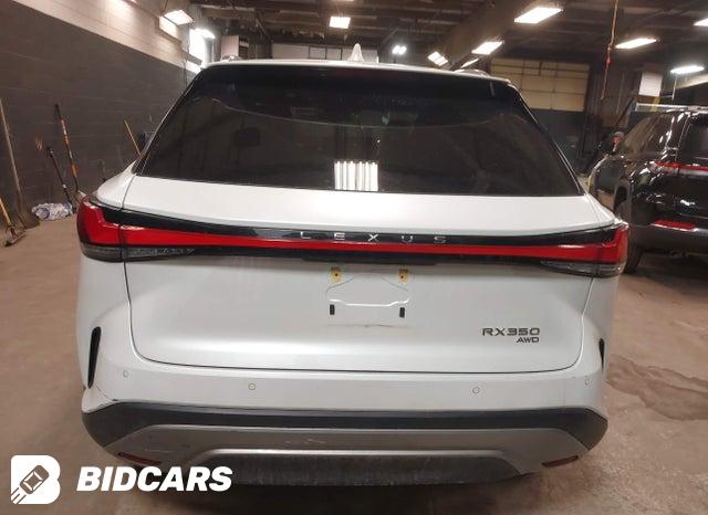 2T2BAMCA6PC037163 2023 Lexus RX photo no. 17