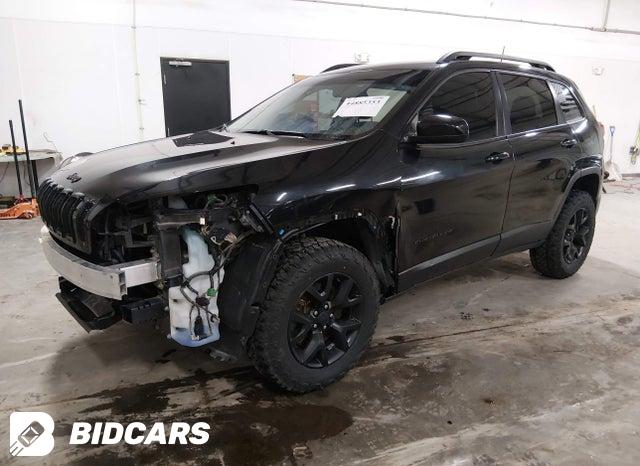 1C4PJMCS7GW131594 2016 Jeep Cherokee photo no. 2