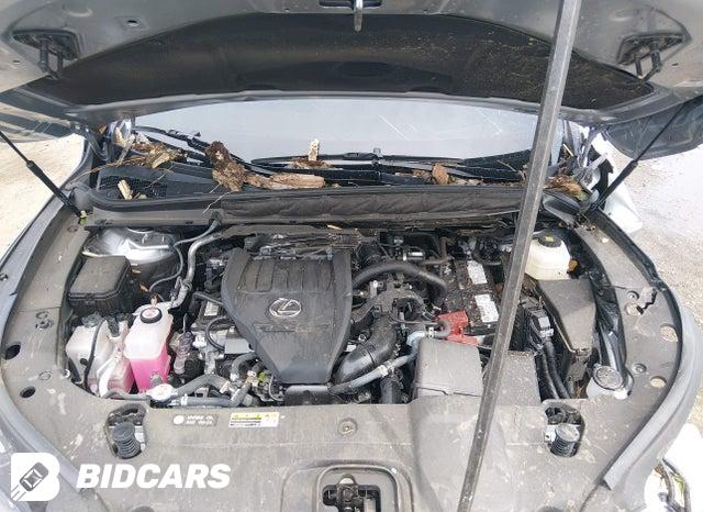 2T2BAMBA2RC046463 2024 Lexus RX photo no. 10