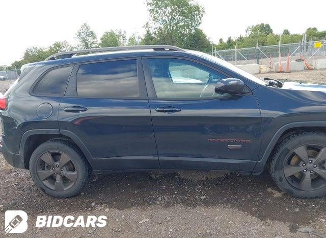 1C4PJMCS7HW509155 2017 Jeep Cherokee photo no. 14