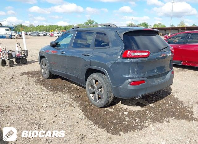 1C4PJMCS7HW509155 2017 Jeep Cherokee photo no. 3