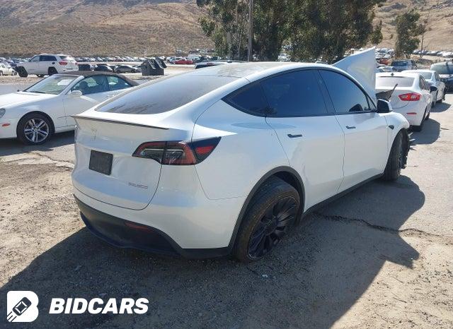 7SAYGDEF6RF123404 2024 Tesla Model Y photo no. 4
