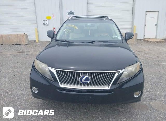 JTJBC1BA8A2019264 2010 Lexus RX photo no. 12