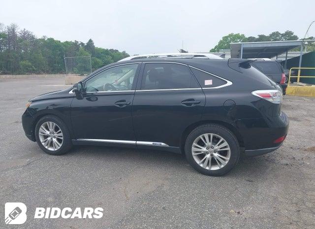 JTJBC1BA8A2019264 2010 Lexus RX photo no. 14