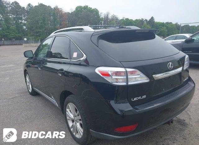 JTJBC1BA8A2019264 2010 Lexus RX photo no. 3