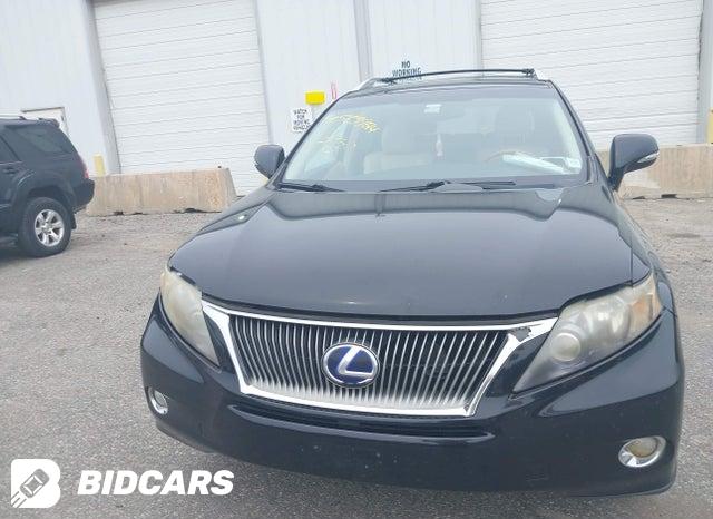 JTJBC1BA8A2019264 2010 Lexus RX photo no. 6