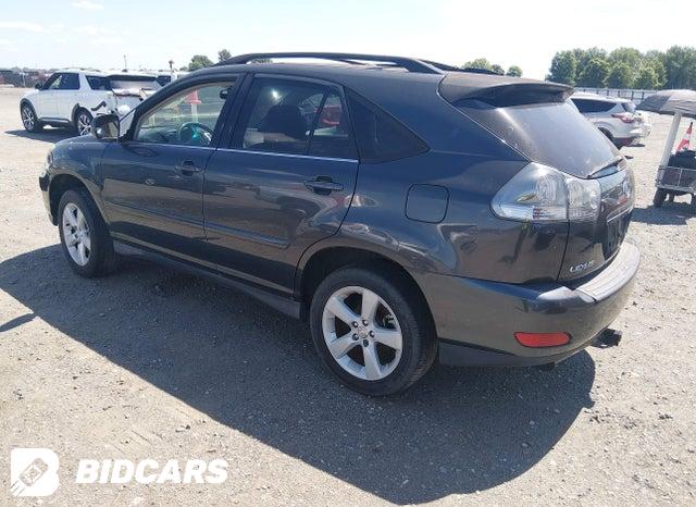 JTJHA31U640051931 2004 Lexus RX photo no. 3