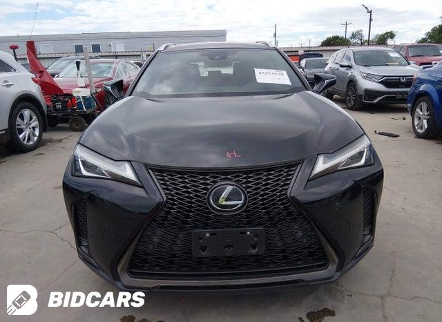 2019 Lexus UX — VIN JTHY3JBH2K2009002, şəkil 13