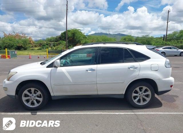 2T2GK31U89C070906 2009 Lexus RX photo no. 14