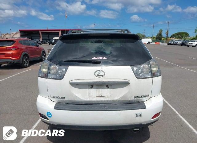 2T2GK31U89C070906 2009 Lexus RX photo no. 16