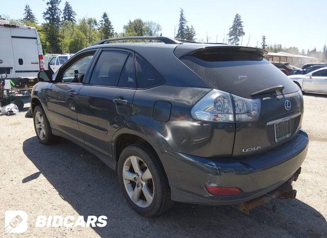2T2HA31U76C099459 2006 Lexus RX photo no. 3