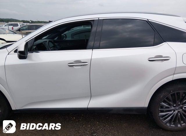 2T2BAMBA0RC036806 2024 Lexus RX photo no. 14