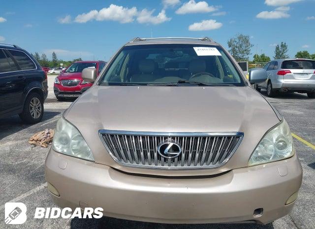 JTJHA31U540053055 2004 Lexus RX photo no. 6