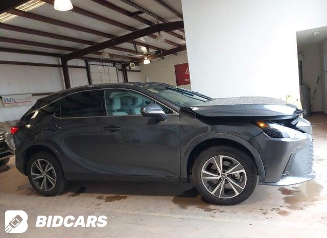 2T2BAMCA7SC109402 2025 Lexus RX photo no. 13