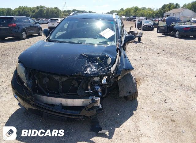 JTJBC1BA8A2405456 2010 Lexus RX photo no. 6