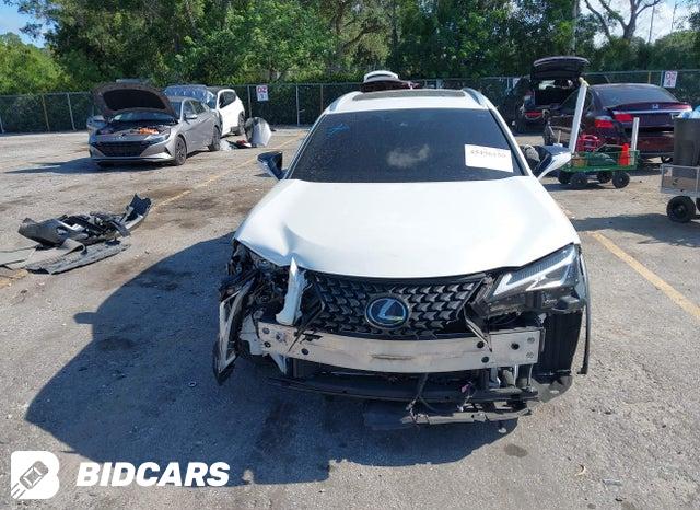 JTHP3JBH2M2045271 2021 Lexus UX 200 photo no. 12
