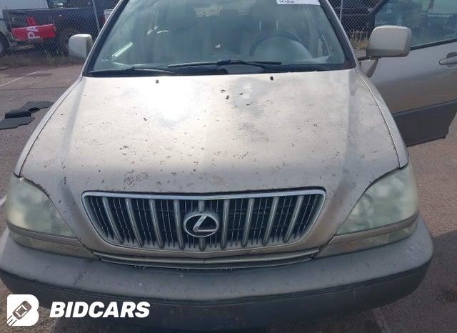 JTJHF10U110176872 2001 Lexus RX photo no. 10