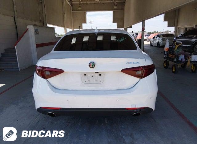 ZARFAMAN3L7635904 2020 Alfa Romeo Giulia photo no. 17