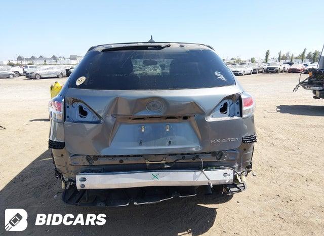 JTJZB1BA9D2007288 2013 Lexus RX photo no. 17