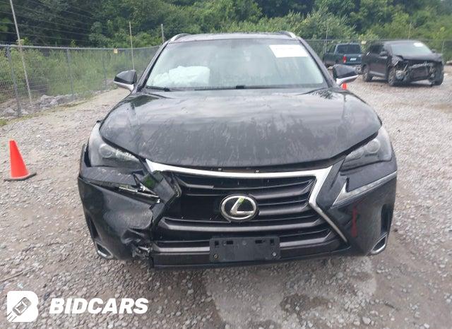 JTJBARBZ2H2144703 2017 Lexus NX photo no. 12