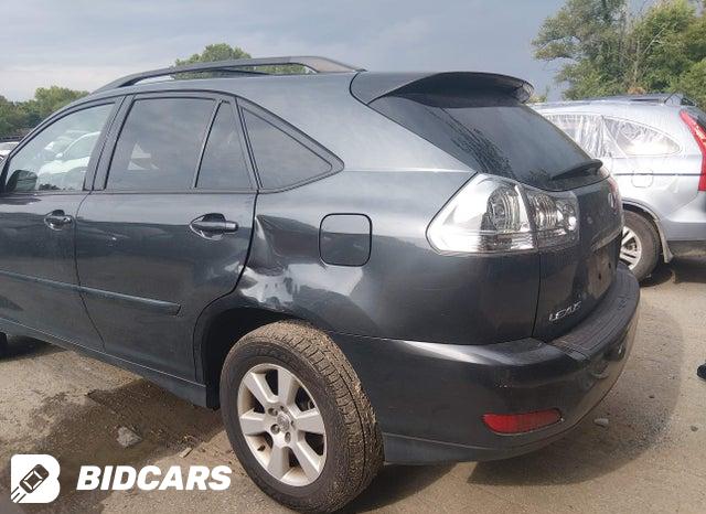 2T2HA31U24C031809 2004 Lexus RX photo no. 6