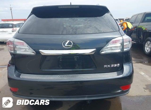 JTJZK1BA3B2003699 2011 Lexus RX photo no. 17