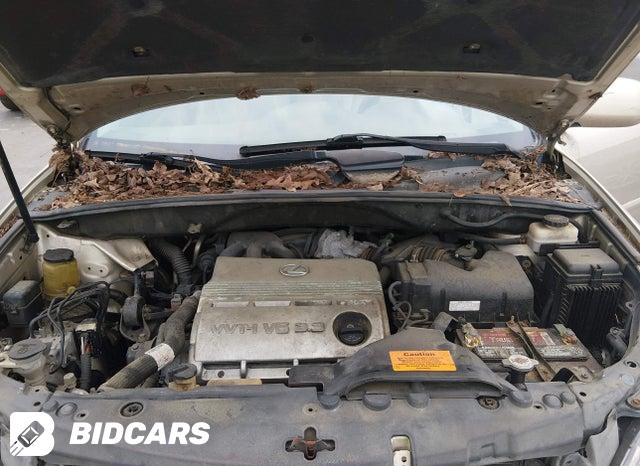 2T2GA31UX6C047822 2006 Lexus RX photo no. 10