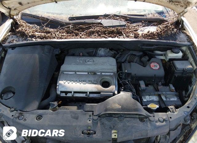 2T2GA31U54C005149 2004 Lexus RX photo no. 10