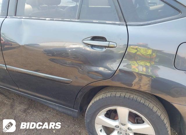 JTJGA31U240036788 2004 Lexus RX photo no. 6