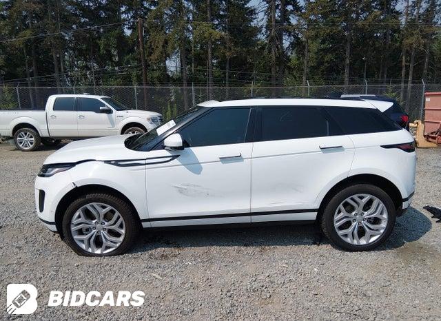 SALZP2FX6LH100024 2020 Land Rover Range Rover photo no. 15