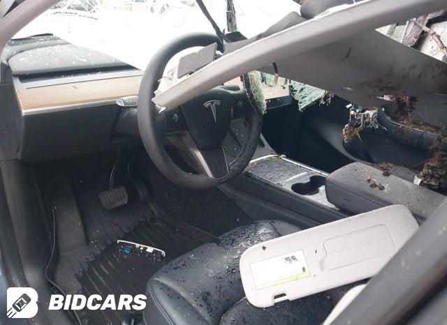 2022 Tesla MODEL Y — VIN 7SAYGDEE1NF455204, şəkil 7