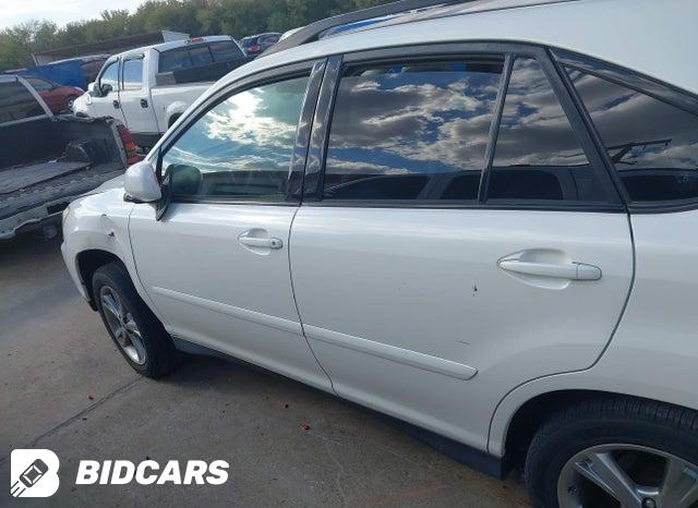 JTJGW31U262000446 2006 Lexus RX photo no. 14