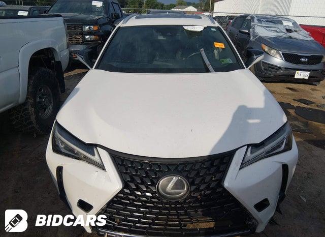 2019 Lexus UX — VIN JTHY3JBH9K2004265, şəkil 12