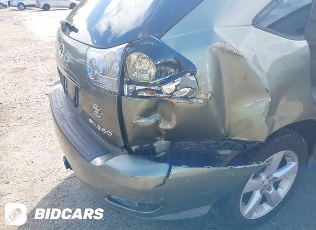 2T2GK31U98C034186 2008 Lexus RX photo no. 6