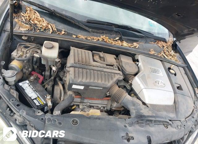 JTJGW31U072002729 2007 Lexus RX photo no. 10