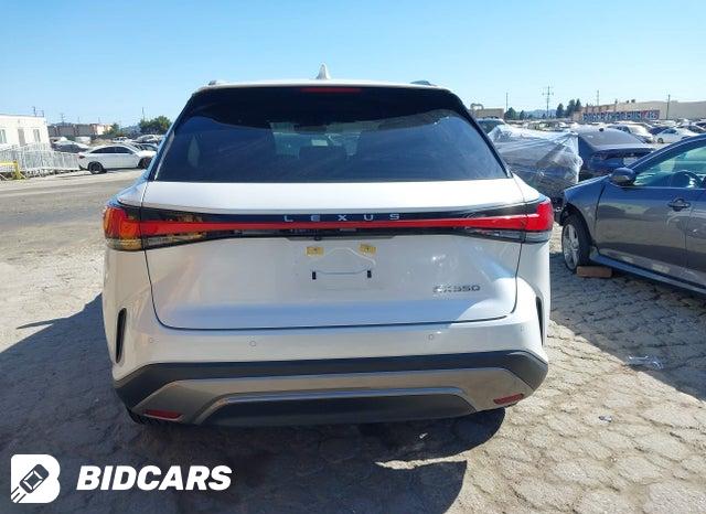2T2BAMBA6RC045459 2024 Lexus RX photo no. 17
