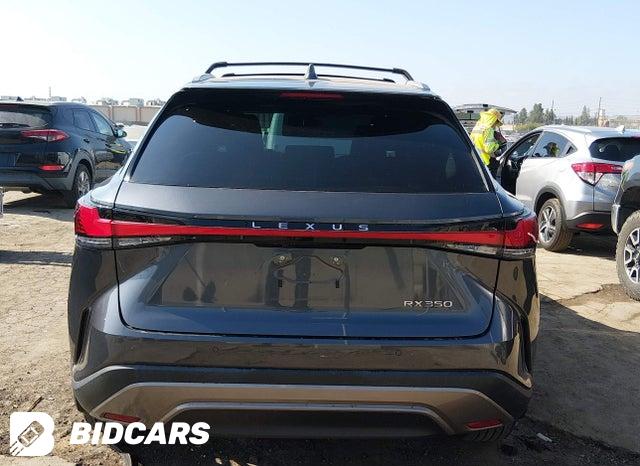 2024 Lexus RX — VIN 2T2BAMBA7RC043865, şəkil 17
