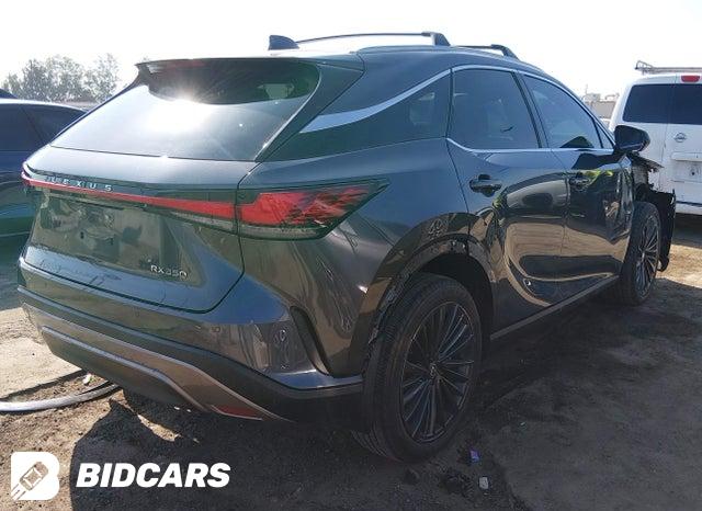2024 Lexus RX — VIN 2T2BAMBA7RC043865, şəkil 4