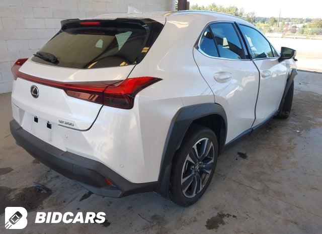 2022 Lexus UX — VIN JTHX3JBH1N2048986, фото 4