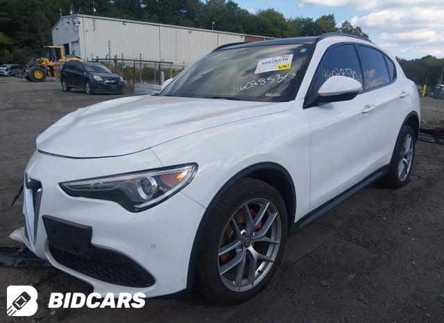 ZASPAKBNXK7C41873 2019 Alfa Romeo Stelvio photo no. 2