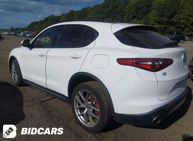 ZASPAKBNXK7C41873 2019 Alfa Romeo Stelvio photo no. 3