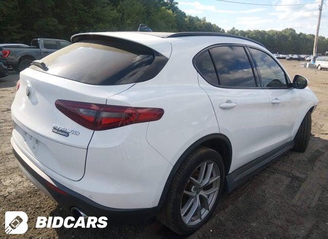 ZASPAKBNXK7C41873 2019 Alfa Romeo Stelvio photo no. 4